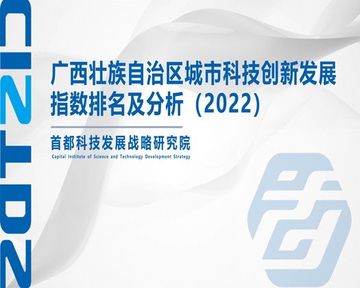 操美女骚B免费视频【成果发布】广西壮族自治区城市科技创新发展指数排名及分析（2022）